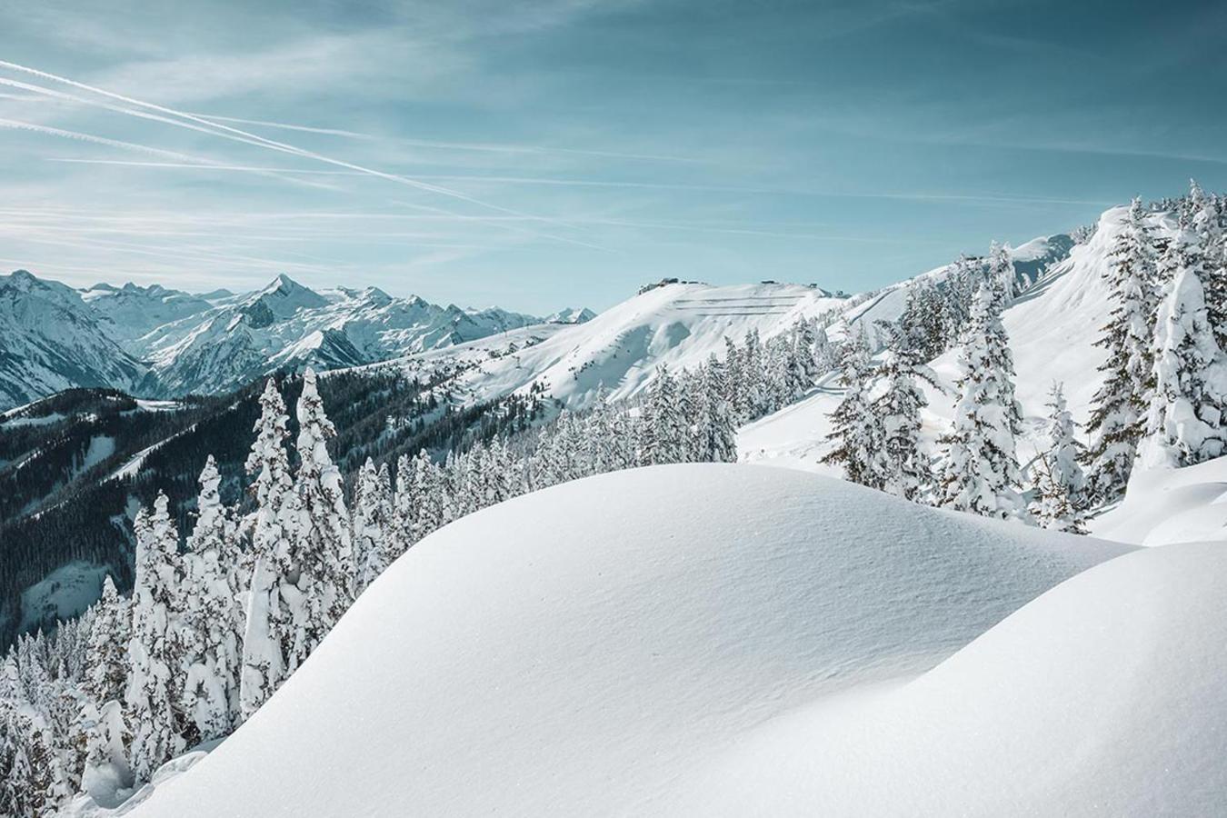 Appartement Haus Elise By We Rent, Summercard Included Zell am See Ngoại thất bức ảnh